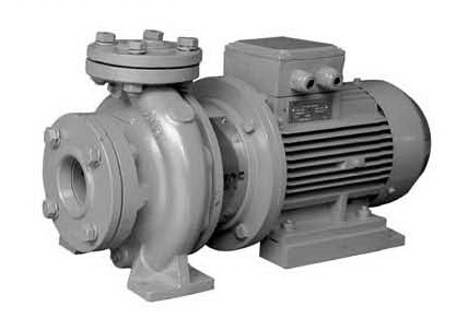 มอเตอร์มีกี่แรง ปั๊มน้ำสแตค Stac Water pump รุ่น NF2-32-16/200